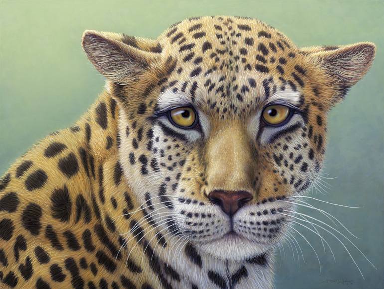 Portrait of a Leopard Painting by James W Johnson Saatchi Art