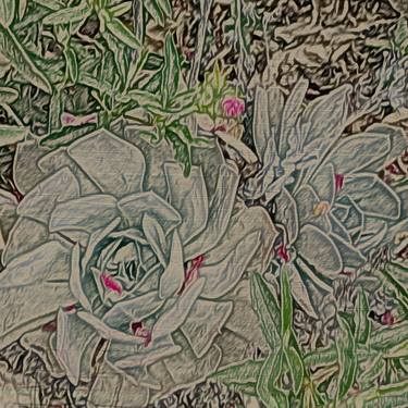 Print of Garden Printmaking by Rose Freeland