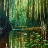 Congaree.Twilight by Stephen Chesley
