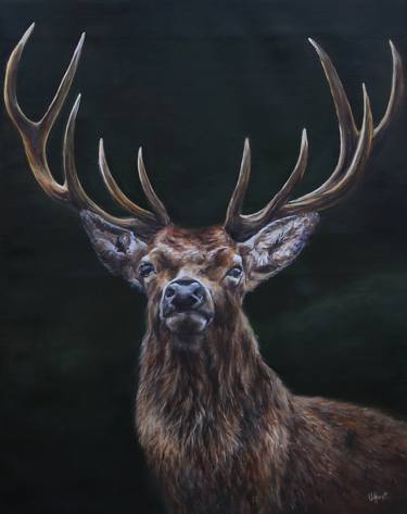 Original Animal Painting by UNA HURST