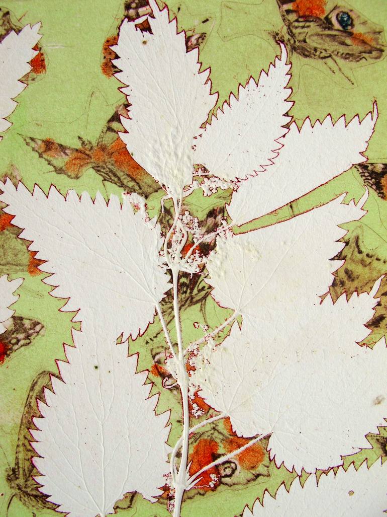 Original Illustration Nature Printmaking by Lynn Bailey