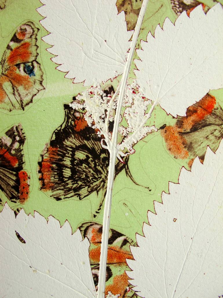 Original Illustration Nature Printmaking by Lynn Bailey