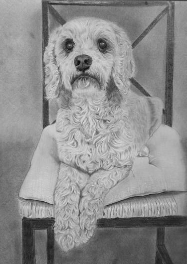 Print of Dogs Drawings by Elizabeth Seta