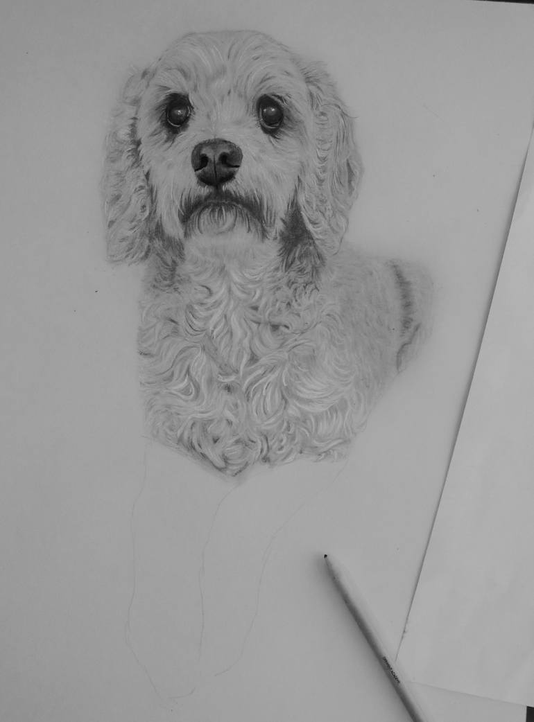 Original Figurative Dogs Drawing by Elizabeth Seta