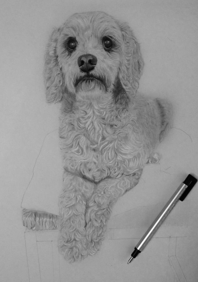 Original Figurative Dogs Drawing by Elizabeth Seta