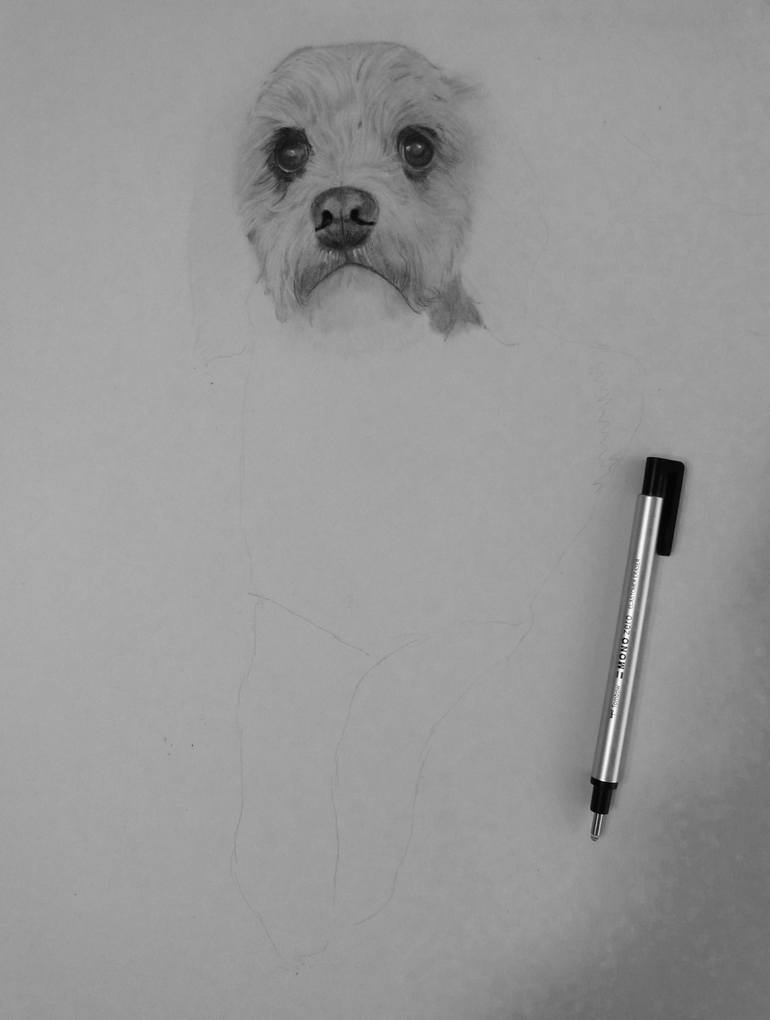 Original Figurative Dogs Drawing by Elizabeth Seta