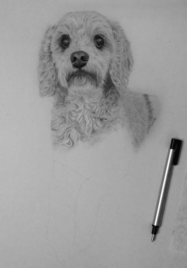 Original Figurative Dogs Drawing by Elizabeth Seta