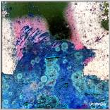 Splash by Calin Liviu Georgescu
