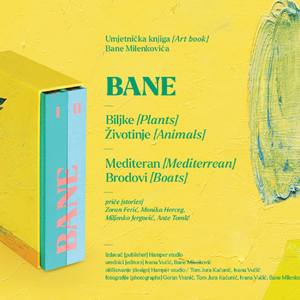 ART Book Bane_monograph