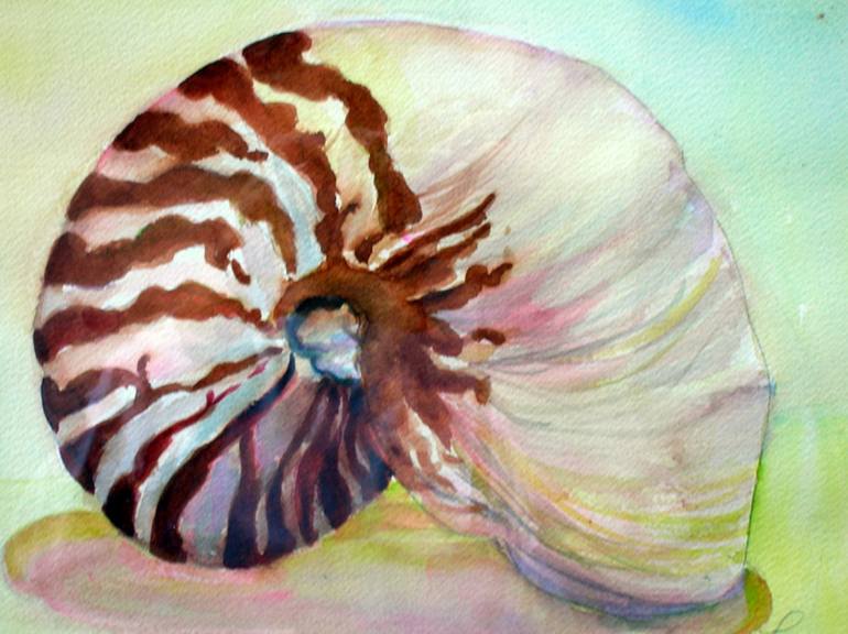 Nautilus Shell Painting By Kathleen Losey Saatchi Art
