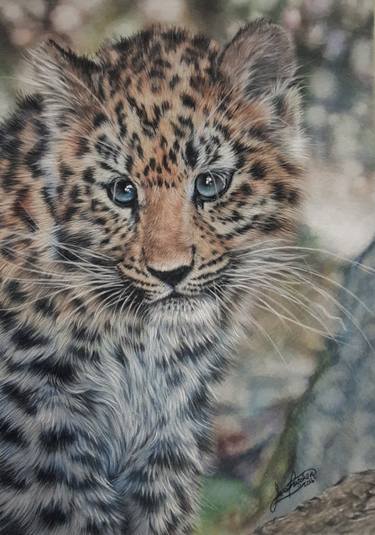 Print of Photorealism Cats Paintings by Janet Thatcher