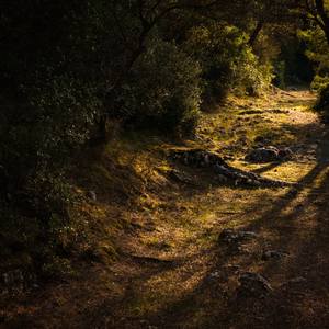 Collection The Sacred Road