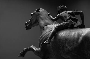 Original Figurative Horse Photography by Patrick Dumortier
