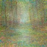 Waldraum #1 FineArt by David Komander