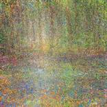 Waldraum #2 FineArt by David Komander