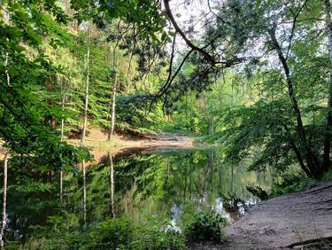 Print of Realism Landscape Photography by Robert Kupis