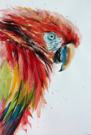 Great Macaw bird art in watercolor thumb