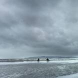 Collection Sea