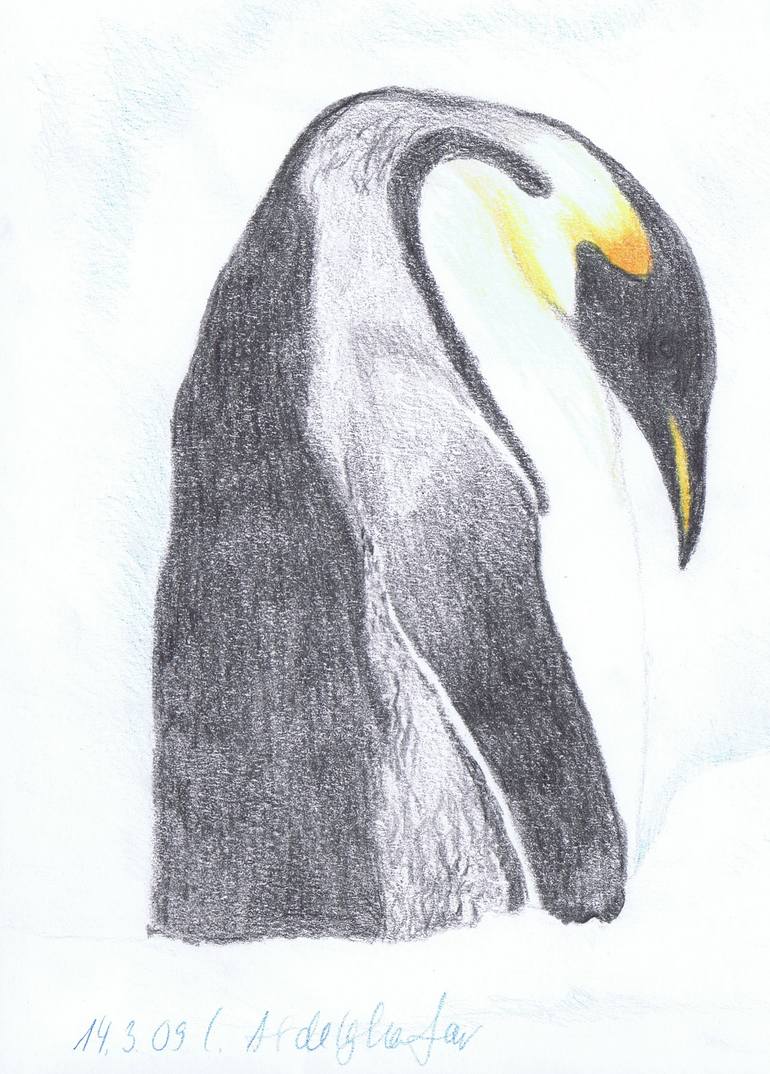 Original Realism Animal Drawing by Claudia Luethi Alias Abdelghafar