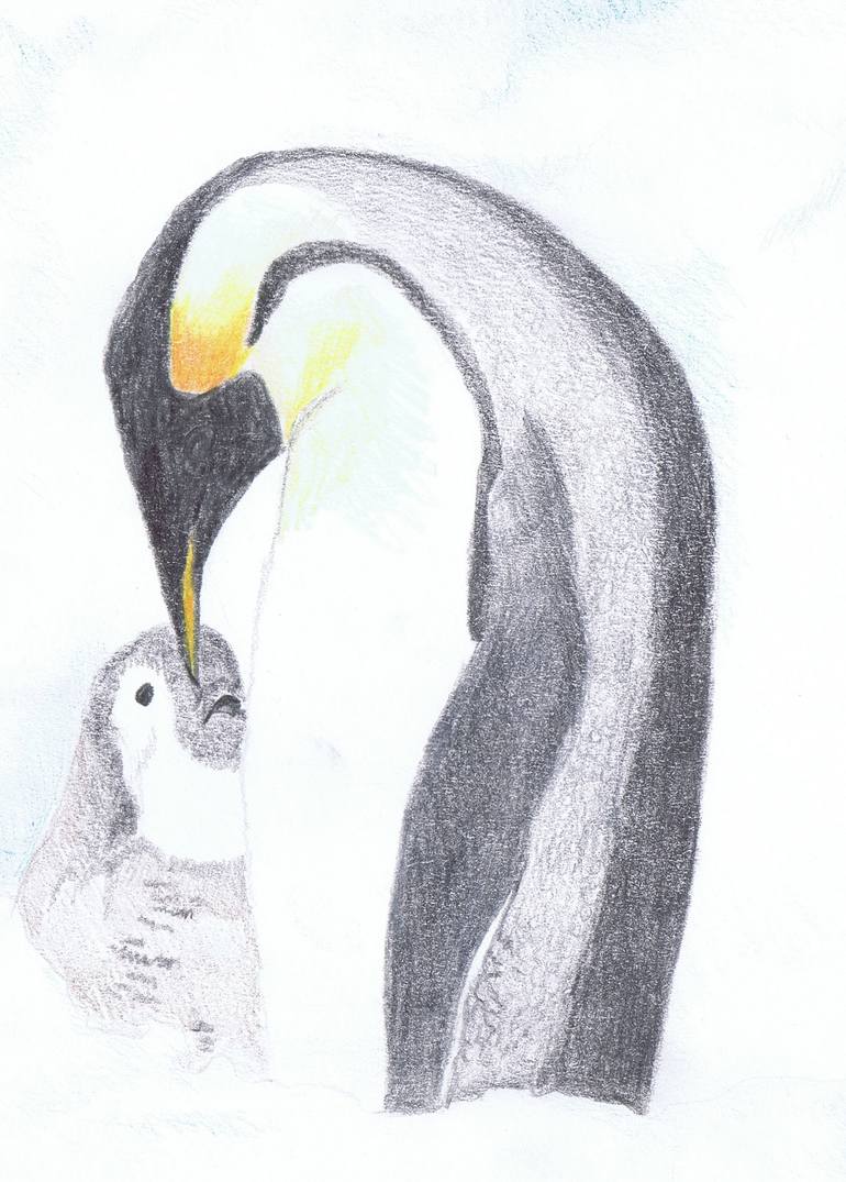 Original Realism Animal Drawing by Claudia Luethi Alias Abdelghafar