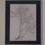 Willow tree with a frame hanging on a wall