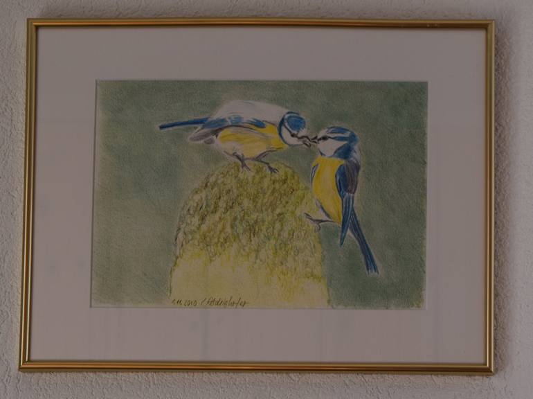 Original Realism Animal Drawing by Claudia Luethi Alias Abdelghafar