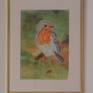 Little Robin with a frame and hanging on a wall