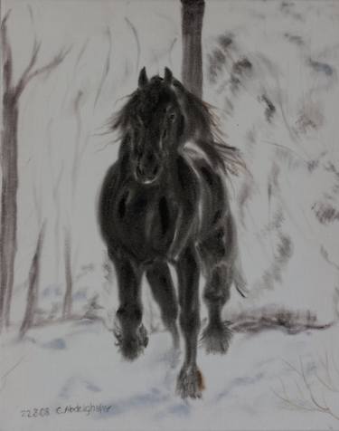 Friesan horse in winter on white velvet thumb