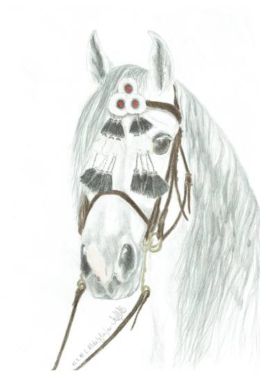 Andalusian stallion with traditional bridle thumb