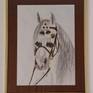 Andalusian stallion with traditional bridle with frame and hanging on a wall