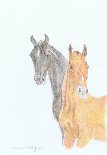 Print of Realism Horse Drawings by Claudia Luethi alias Abdelghafar