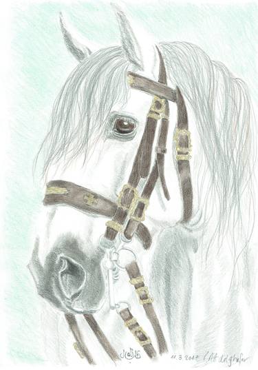 Print of Horse Drawings by Claudia Luethi alias Abdelghafar