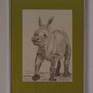 Rhino Baby with a frame and hanging on the wall