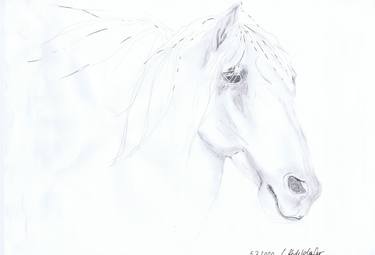 Original Expressionism Horse Drawings by Claudia Luethi alias Abdelghafar
