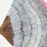 Collection TX OE Prints