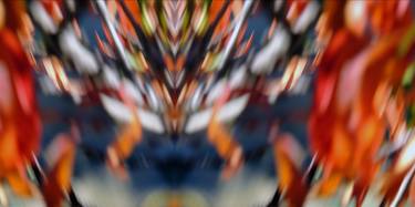 Original Expressionism Abstract Photography by Ciri Johnson