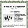 Certificate of Authenticity