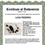 Certificate of Authenticity