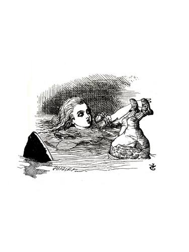 Alice in the economic flood - 2012 thumb