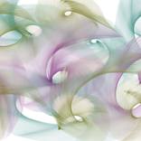 Collection Digital Art
