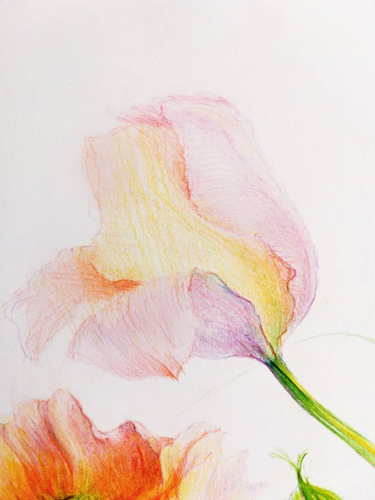 Original Impressionism Botanic Drawing by Vlada Kadymova