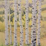 LANDSCAPE WITH BIRCH TREES 3 by Marius Vancea