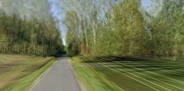 Treelined Road thumb