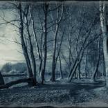 Collection Kuban River