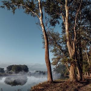 Collection Kuban River