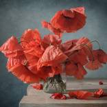 Collection Still Life