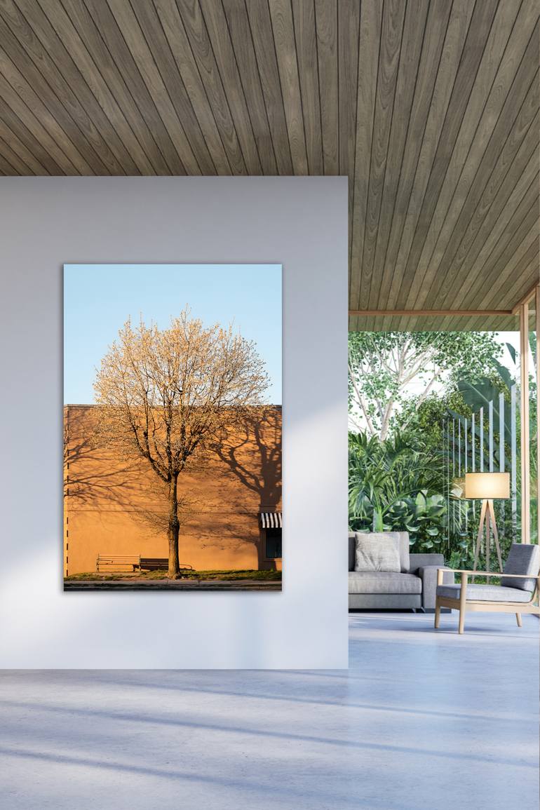 Original Conceptual Architecture Photography by Journey Gong