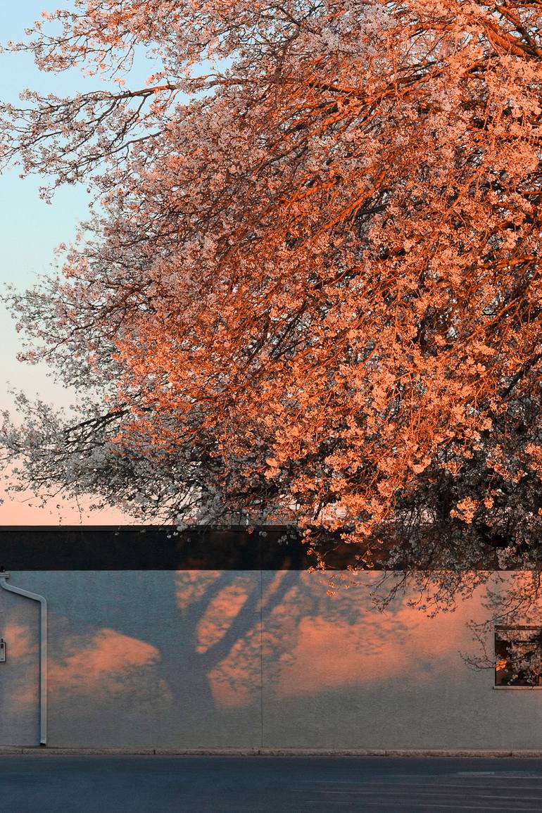 Original Conceptual Architecture Photography by Journey Gong