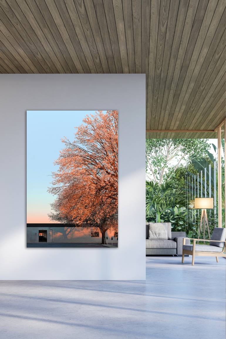 Original Conceptual Architecture Photography by Journey Gong