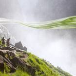 Wild Is the Wind by Journey Gong
